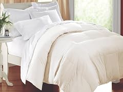 Down Alternative Comforter Ivory-3 Sizes
