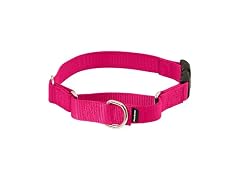 PetSafe Martingale Quick-Snap Dog Collar, Raspberry Large