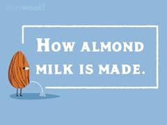 How Almond Milk Is Made
