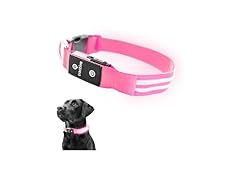 Tractive LED Light Up Dog Collar USB Rechargeable- Pink