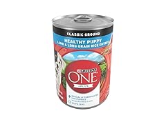 1CT ONE Lamb and Rice, 13 Oz