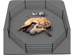 CoolShields Washable Dog Pee Pad