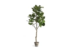 National Tree Company 79 Inch Artificial Fiddle Leaf Fig Tree in Clay Pot