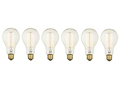 Standard Vintage Incandescent Bulbs (6-Pack)