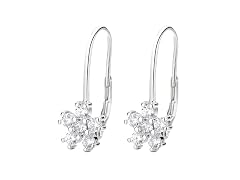 Lever Back Earrings