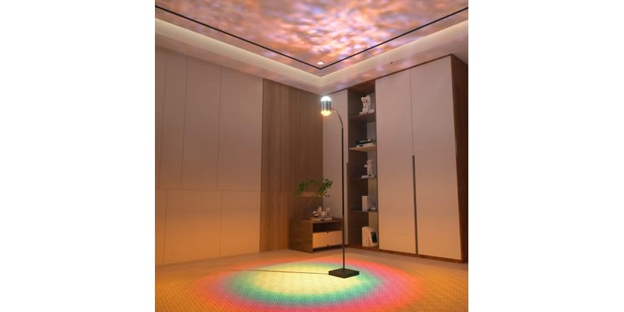 Sunset Projector Floor Lamp