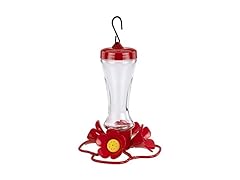 More Birds Hummingbird Glass Feeder