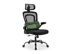 Marsail Office Chair Ergonomic-Desk Chair: High Back Mesh Office Chair with Lumbar Support,Flip-Up Armrests&2D Headrest,Gaming Chair with Rocking Tilt, Swivel Computer Task Chair for Long Hours (Open Box)