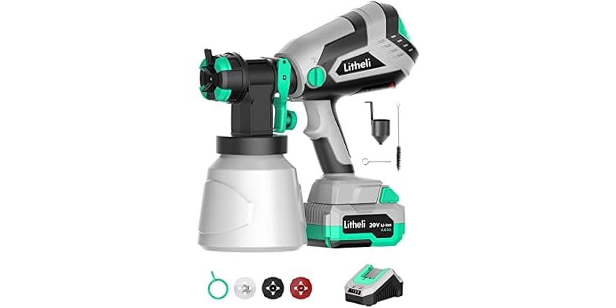 20V Cordless Paint Sprayer w/ Battery