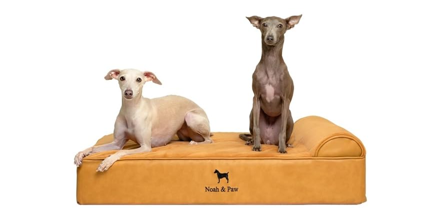 NOAH & PAW Orthopedic Dog Beds- XXLarge