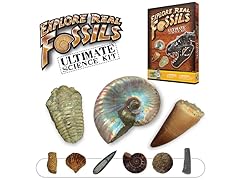 Discover with Dr. Cool Ultimate 15 REAL Fossils Kit