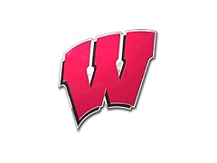 WISCONSIN Auto Emblem
