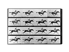 Horse in Motion II (Multiple Sizes)