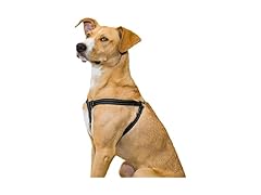 Premier Pet Step-in Harness - Medium