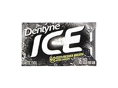 16CT Dentyne Ice Sugar-Free Gum, Arctic Chill