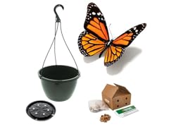 Bulbs & Bare Root Plants