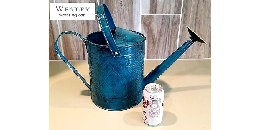 Robert Allen Home & Garden Wexley Metal