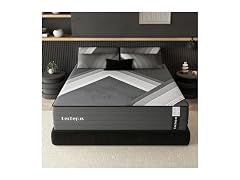 Lechepus 10Inch Queen Mattress in Box