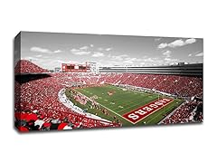 Wisconsin Badgers