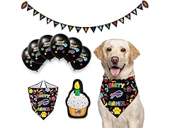 BILLS Dog Birthday Party Set (S/M)