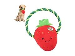 Dole for Pets Dog Rope Toy with Squeakers, Strawberry