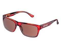 Ferragamo Women's Sunglasses