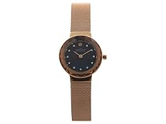 Skagen Stainless Steel Mesh Bracelet Watch