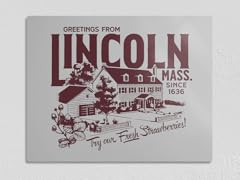 Greetings From Lincoln 11" x 14" Metal Poster