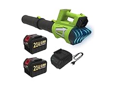 Green 21v Cordless Leaf Blower 