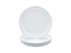 6PC Amazon Basics Melamine (Plastic) Plate, 9 in.