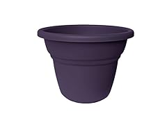 6-Pack Planter, 20-Inch, Exotica