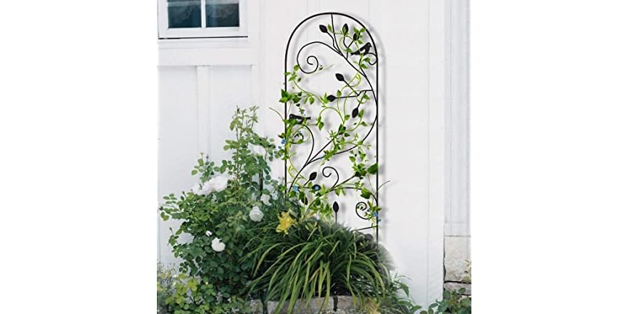 Garden Trellis for Climbing Plants