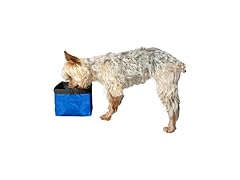 Premier Pet 50 oz Collapsible Travel Bowl