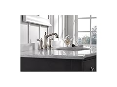 Delta Rila 8 inch Widespread Faucet