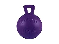 Tug-n-Toss Dog Toy Ball w/Handle, XL