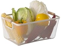 Basicwise Mesh Basket W Handle Large