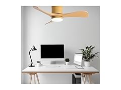 HJBRAND 38 Inch Ceiling Fan with Light