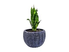 Sunnydaze VBD-639 Lava Finish Planter 13.5" Dark Blue
