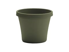 Bloem Terra Pot Planter 4in Living Green