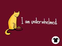 My Actual Opinion on Most Things