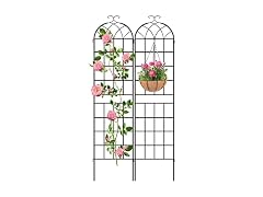 LZRS 83x20in Rustic Iron Arch Garden Trellis