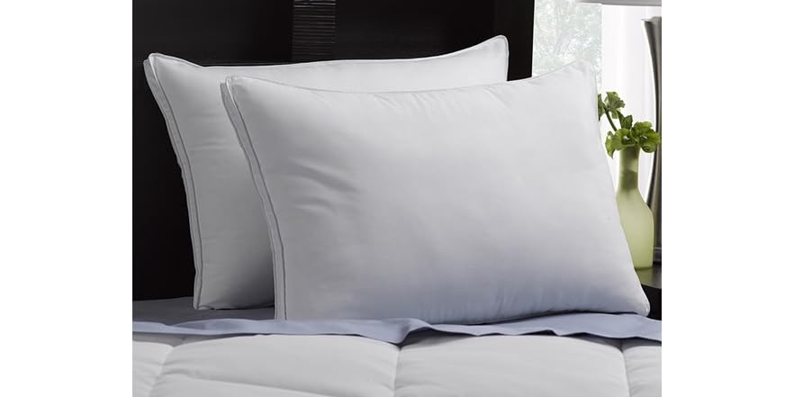 2 Pack Gusseted Microfiber Gel Pillow-2 Sizes