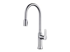 Nola Single-Handle Faucet with Pull Down Sprayer