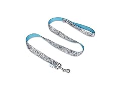 WARNER BROS Friends the TV Show City Doodle Dog Leash