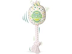 Tootsie Roll Blow Pop Plush & Rope Dog Toy- Apple