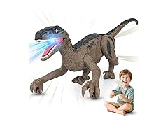 Remote Control Dinosaur Toy