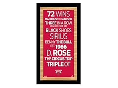 Chicago Bulls 9.5" x 19" Sign
