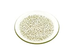 Red Pomegranate ISLA 8.5" Salad Plate
