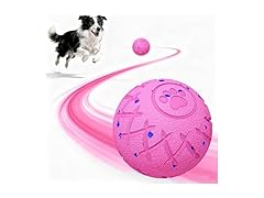 Interactive Dog Toys