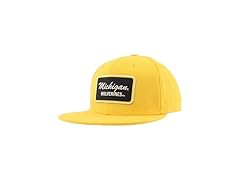 Michigan Z11 Flat Hat Secondary